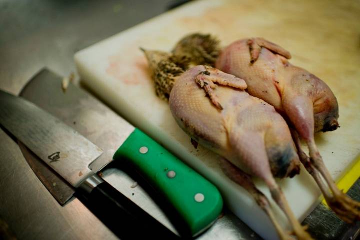 Codornices ortolans, perfectas para madurar. Solo el producto excelente entra en la cocina.