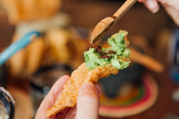 guacamole oaxaca