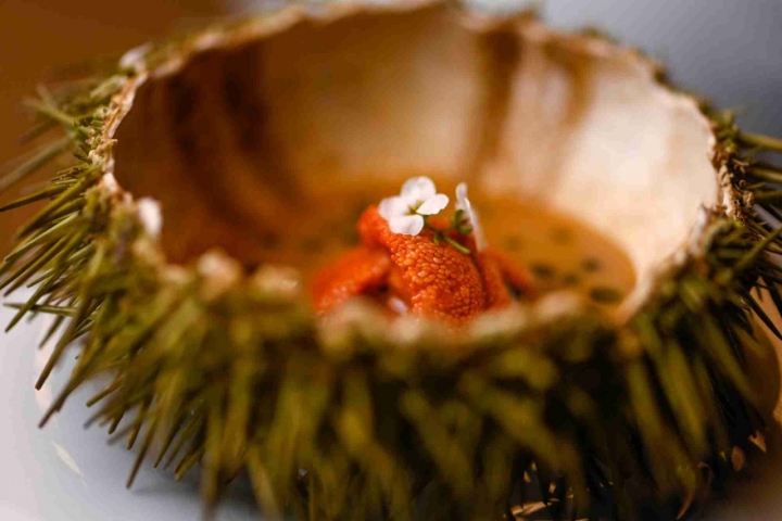 Aperitivo de erizo de mar.