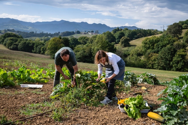 Huerta de 'Narbasu' (Asturias). Huerta de 'Narbasu' (Asturias).