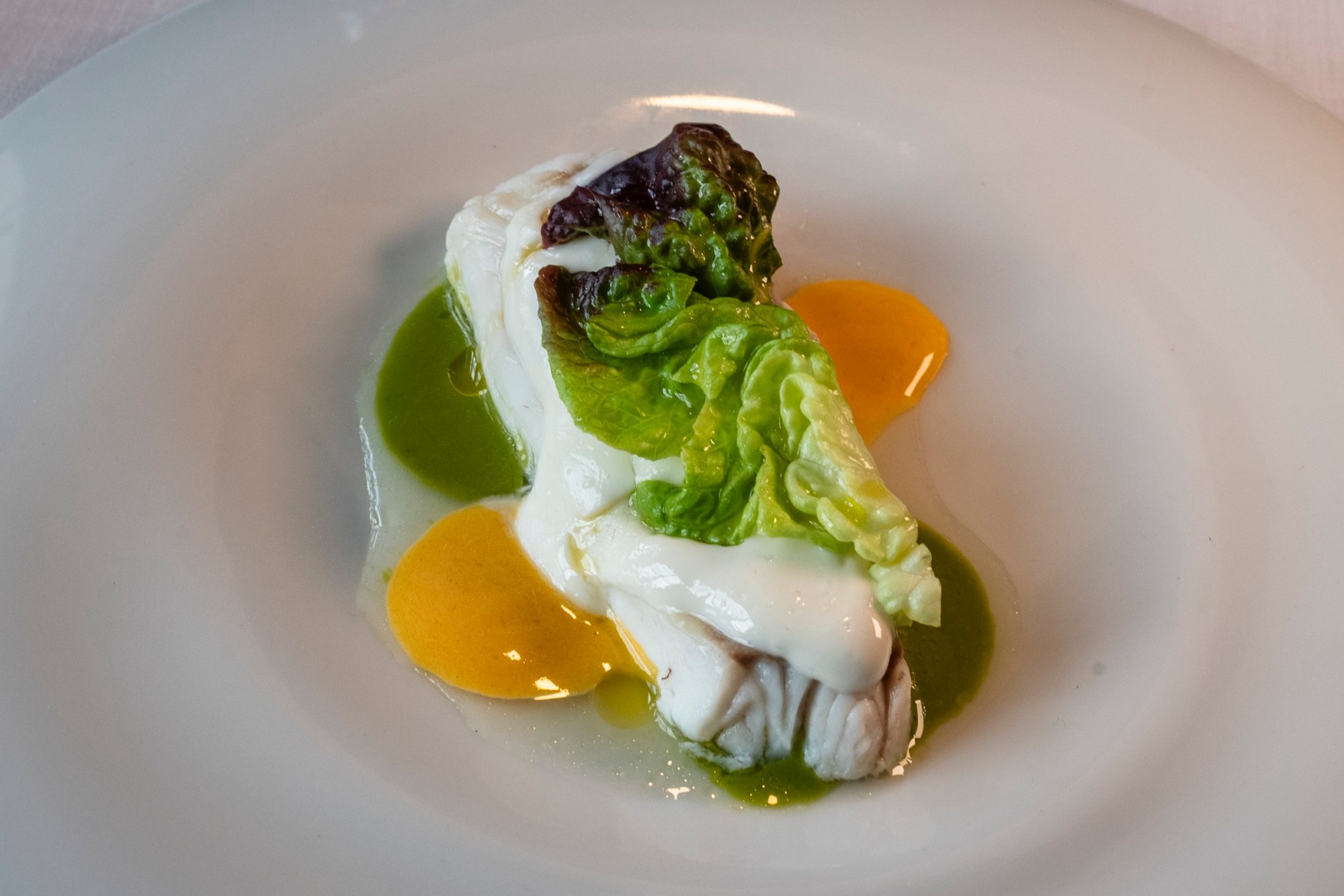 Merluza, licuado de lechuga y salsa holandesa de 'Narbasu' (Asturias). Merluza, licuado de lechuga y salsa holandesa de 'Narbasu' (Asturias).