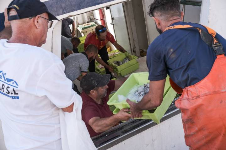 Pescadores descargando cajas en el puerto de Motril.