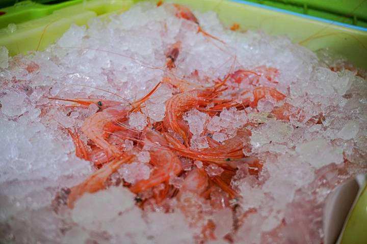 Quisquillas de la lonja de Motril.