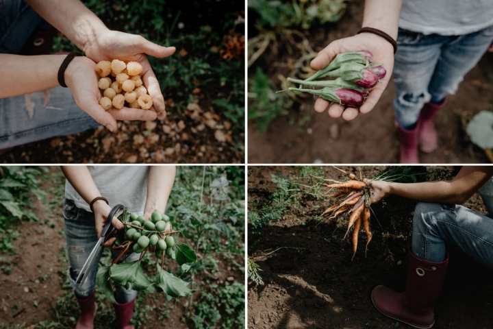 Parte de la cesta de la compra: frambuesas, miniberenjenas, 'kiwiños' y zanahorias.