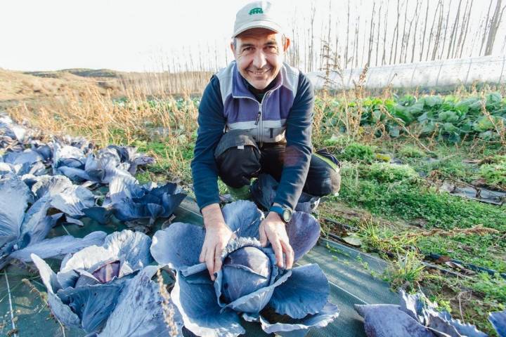 Receta con lombarda: el hortelano Ricardo Dávila