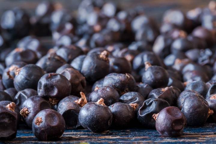 El enebro aporta aromas balsámicos y a madera muy sutiles. Foto: Shutterstock.