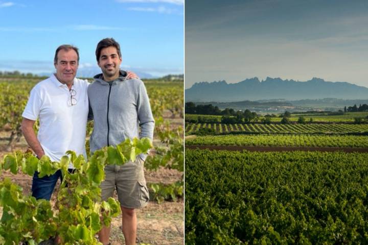 Agustí Torelló, padre e hijo