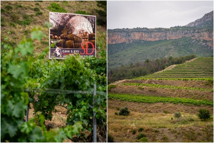 La UNESCO ha catalogado al Priorat como Patrimonio Agrario La UNESCO ha catalogado al Priorat como Patrimonio Agrario