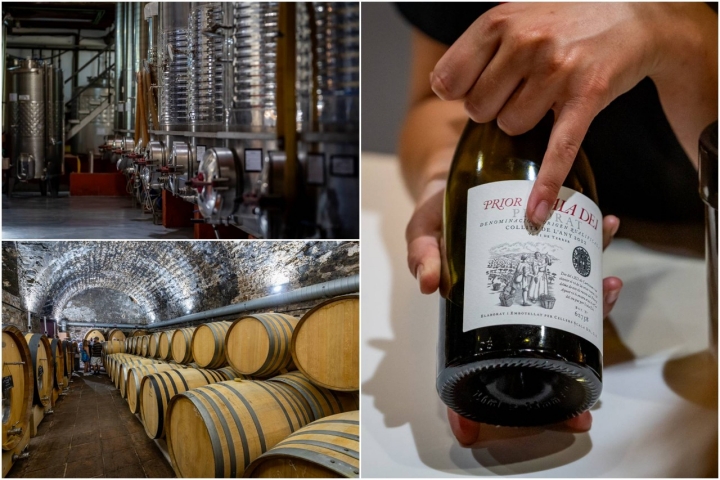 El vino fermenta tanto en tanques de acero inoxidable como en cemento o madera El vino fermenta tanto en tanques de acero inoxidable como en cemento o madera