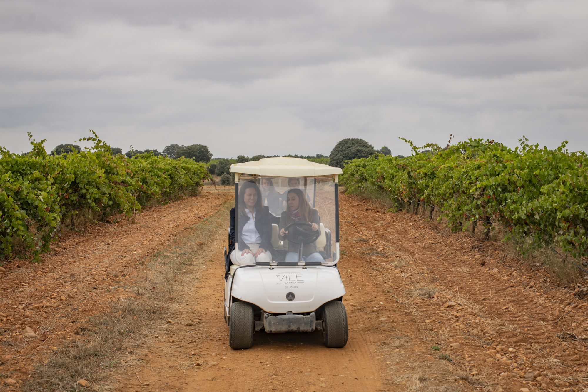 El paseo en buggie por los viñedos, el preferido por las familias.