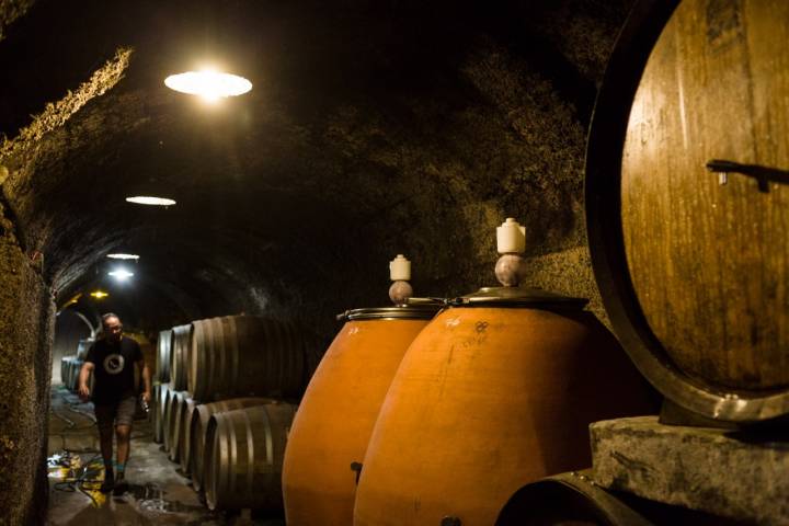 Bodegas Frontonio