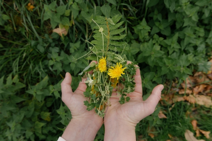 Los cócteles se nutren de ingredientes naturales de cercanía.