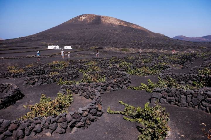 Vinos en Lanzarote: Fiesta de la Vendimia Tradicional en La Geria. Foto: Hugo Palotto