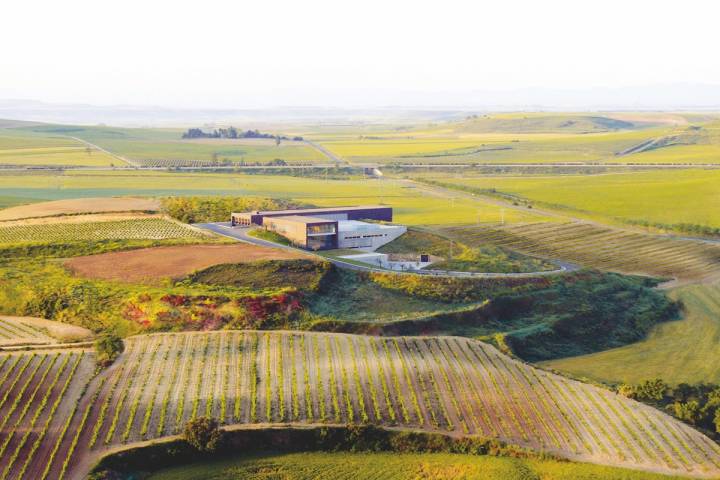 Bodega Marqués de Terán. Ollauri, La Rioja.