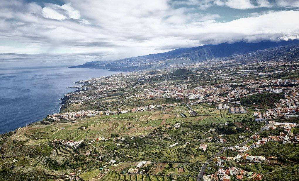 Vinos de Tenerife: Valle de la Orotava