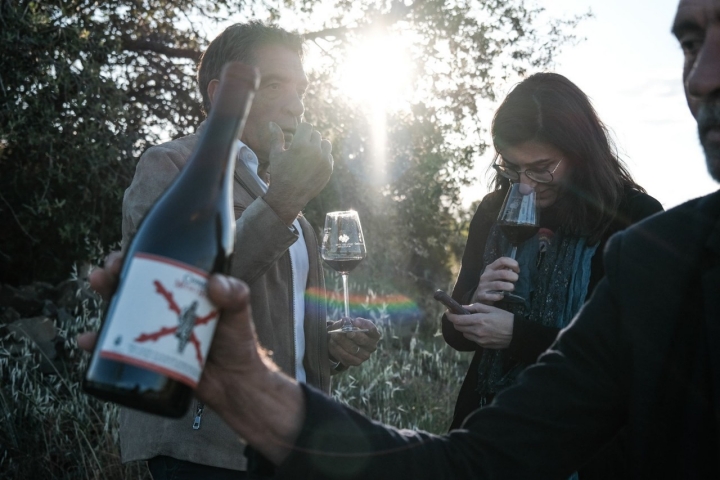 Una cata celebrada en el campo.