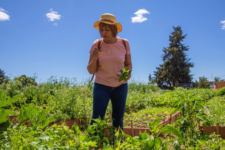 María José San Román en su huerto 'Terramón' de Alicante 