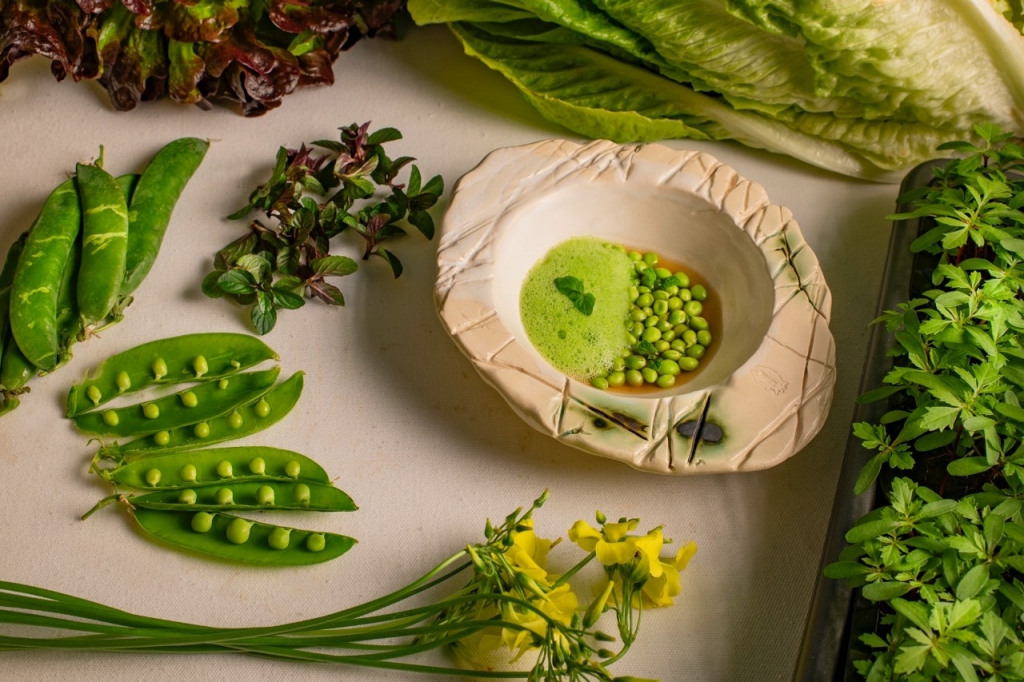 El primer menú de Gala gastro solo vegetal El primer menú de Gala gastro solo vegetal