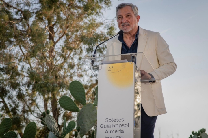 Vicepresidente primero de la Diputación de Almería, Ángel Escobar.