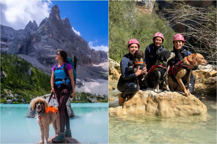 Mascotas realizando actividades de aventuras en la naturaleza