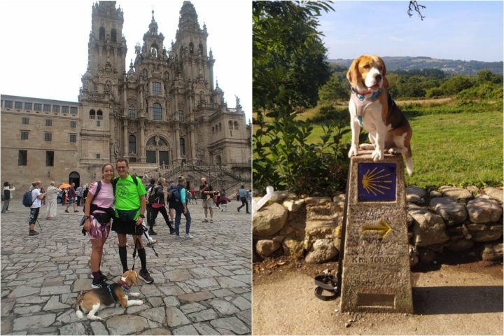 Cristina, su padre José María y su perro Bruno frente a la Catedral de Santiago. 