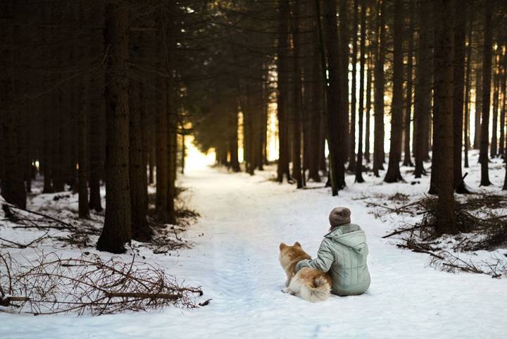 Para terminar la jornada, una bonita puesta de sol. Foto: Shutterstock.