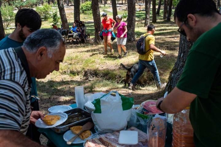 Repartiendo la comida en el merendero también para los humanos.