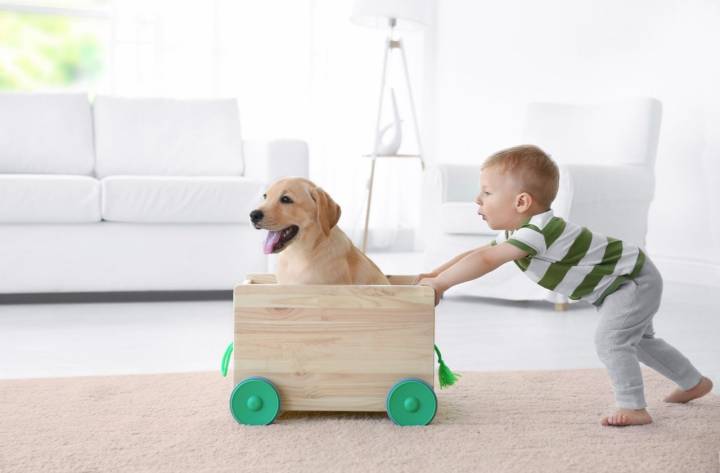 Aprovecha estos días para pasar más tiempo en familia. Foto: Shutterstock.