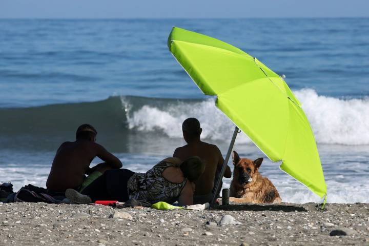 Sombrilla Playas caninas