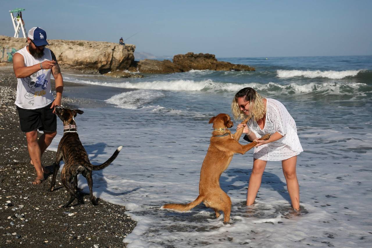 La Costa del Sol también es para perros