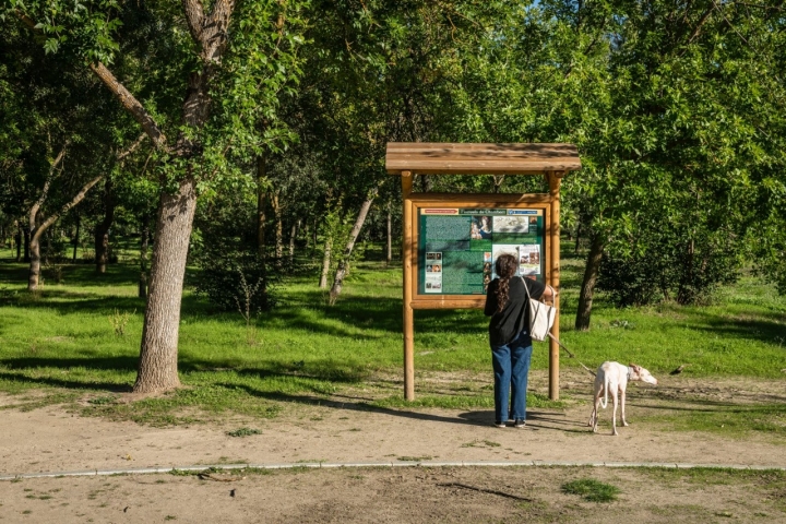 Ruta con perro por la Casa de Campo de Madrid