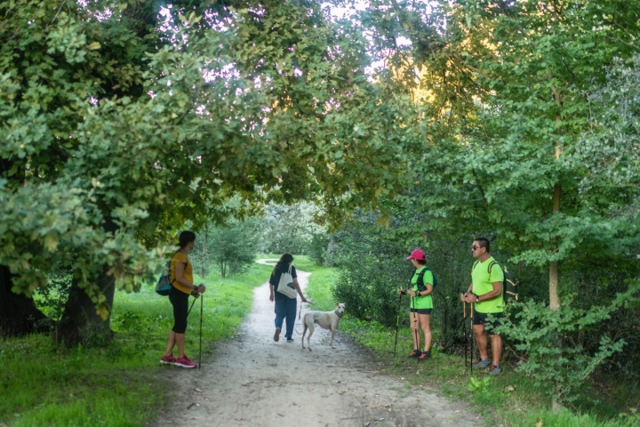 Ruta con perro por la Casa de Campo de Madrid