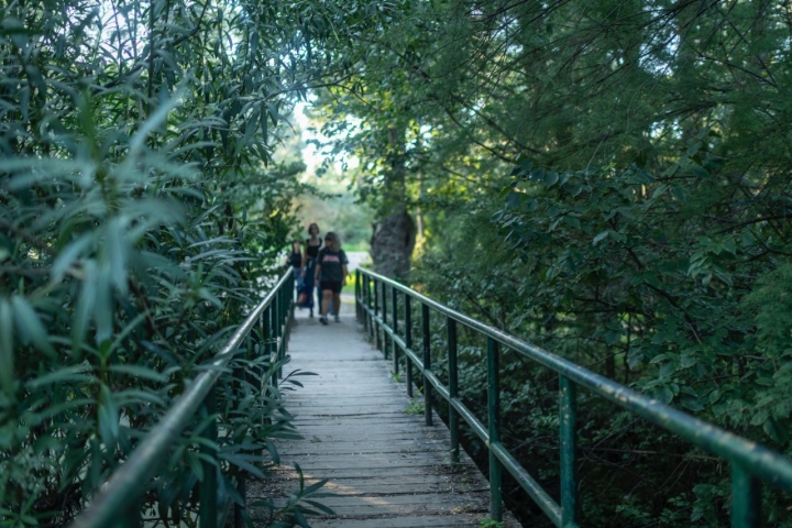 Ruta con perro por la Casa de Campo de Madrid