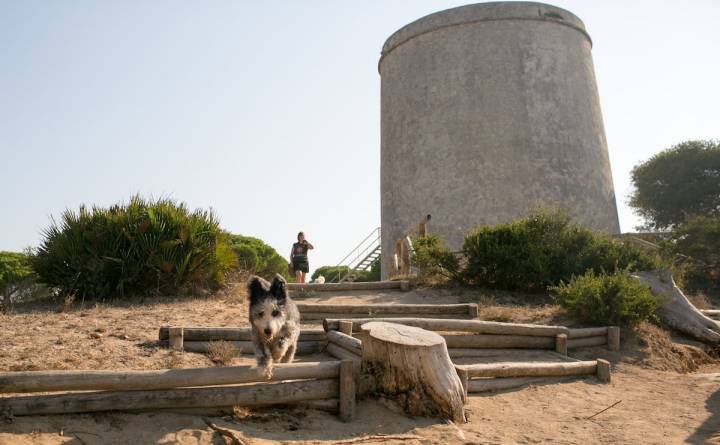 La energía que derrocha Selu no decae durante todo el trayecto. Aquí, junto a la Torre del Tajo.