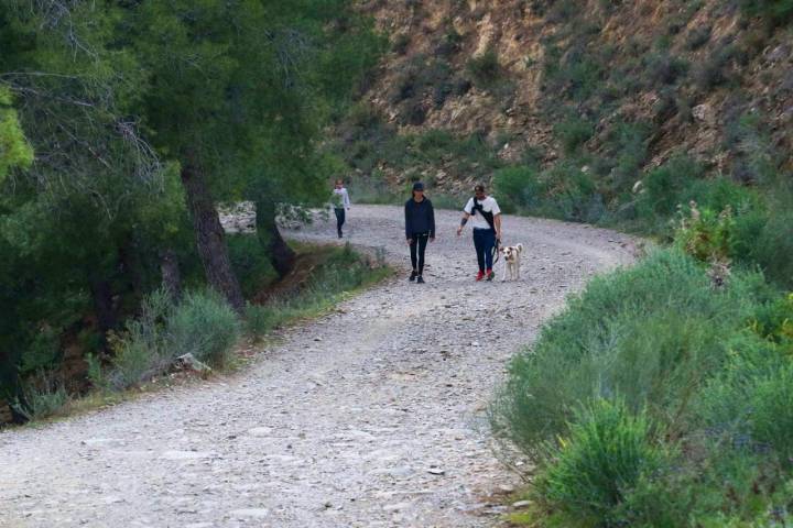 Una familia camina por una pista forestal del Pinar Almendrales