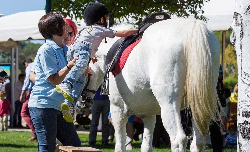 Un domingo en las carreras con tus hijos