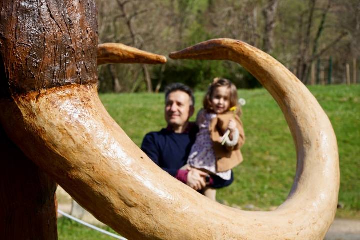 Un cuerno de mamut en el Parque de la Prehistoria de Teverga (Asturias)