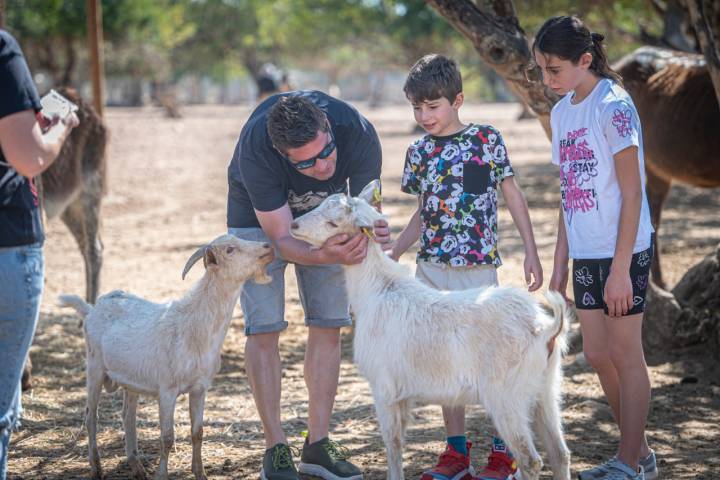 Coma-ruga 30/04/23 –Visita guiada a Món la Bassa - santuario de animales. AUTOR: MANU MITRU