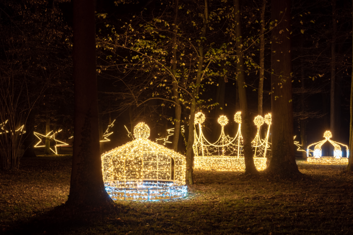 Planes diciembre Málaga Luces Jardín Botánico