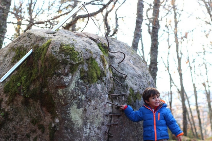 Descubriendo nuevas sorpresas en el Bosque de los Espejos.