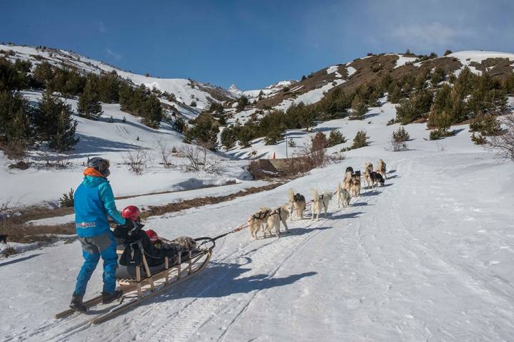 El 'musher' se comunica con los perros para determinar la ruta.