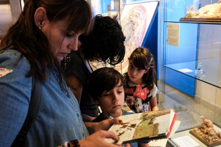 Aprender primero el animal que buscamos y luego encontrarlo en las vitrinas del museo.