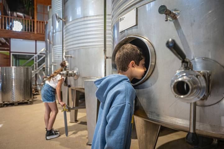 El Vendrell 29/04/23 Visita guiada a la bodega Avgvstvs Forvm. Así como también comida en el espacio gastronomico.AUTOR: MANU MITRU