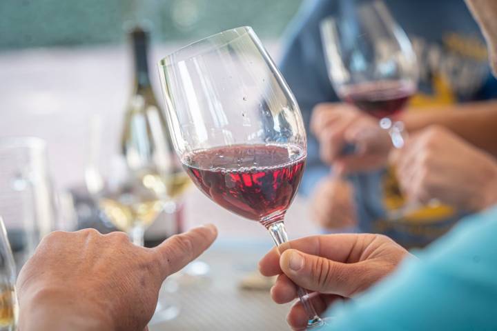 El Vendrell 29/04/23 Visita guiada a la bodega Avgvstvs Forvm. Así como también comida en el espacio gastronomico.AUTOR: MANU MITRU