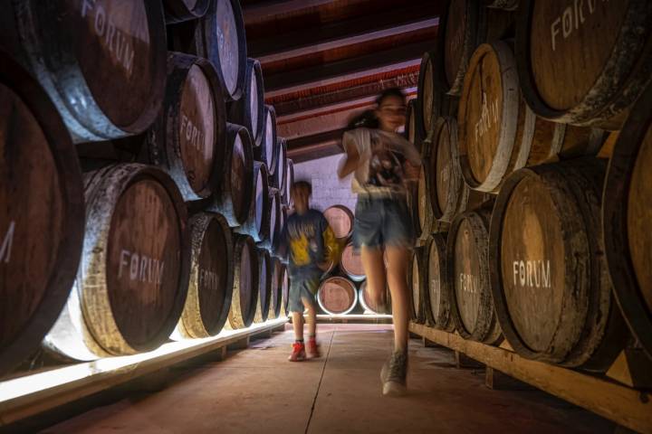 El Vendrell 29/04/23 Visita guiada a la bodega Avgvstvs Forvm. Así como también comida en el espacio gastronomico.AUTOR: MANU MITRU