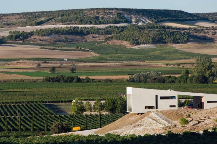 Vista de la bodega desde lo alto de sus viñedos.