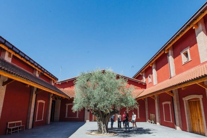 El olivo centenario del patio nos recuerda que la Ribera del Duero también fue productor de aceites.