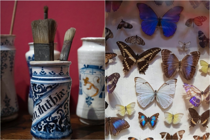 Pinceles y mariposas en el Museo Sorolla de Madrid.