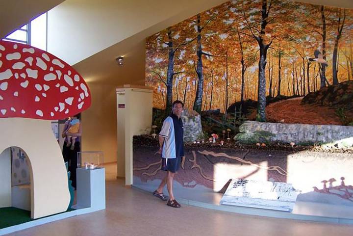 El Museo Micológico de Isuerre, en Zaragoza, descubre el mundo de las setas a pequeños y mayores.