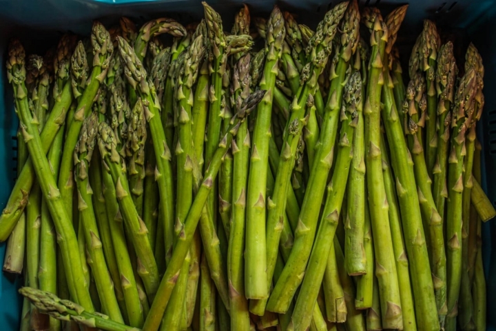 Espárragos verdes en Alcalá del Valle.